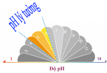 Tầm quan trọng của độ PH trong mỹ phẩm dưỡng da