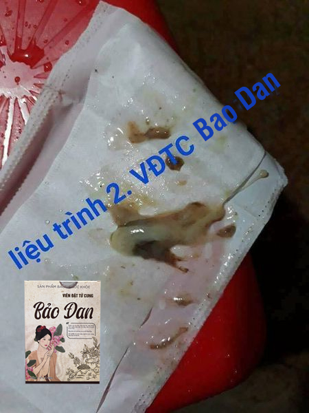 viên bảo đan